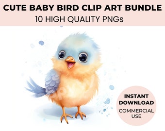 Cute Baby Bird Clipart Bundle - 10 Watercolor Birds & Funny Birds Clipart for creative projects - High Quality PNG - Cute bird nursery