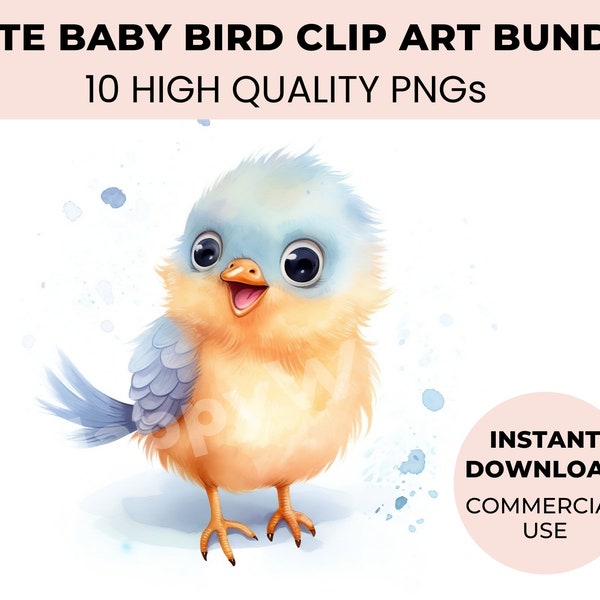 Cute Baby Bird Clipart Bundle - 10 Watercolor Birds & Funny Birds Clipart for creative projects - High Quality PNG - Cute bird nursery