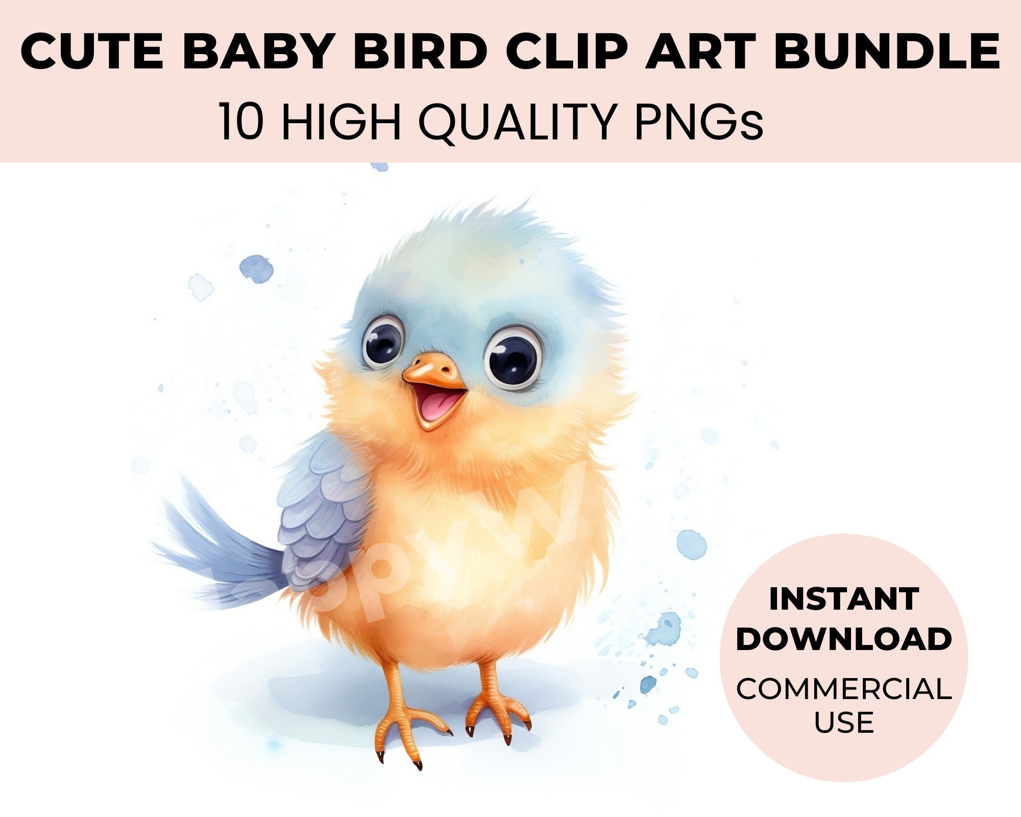 Cute Baby Bird Clipart Bundle 10 Watercolor Birds & Funny Birds Clipart ...