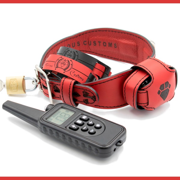 Locking Shock Collar Etsy