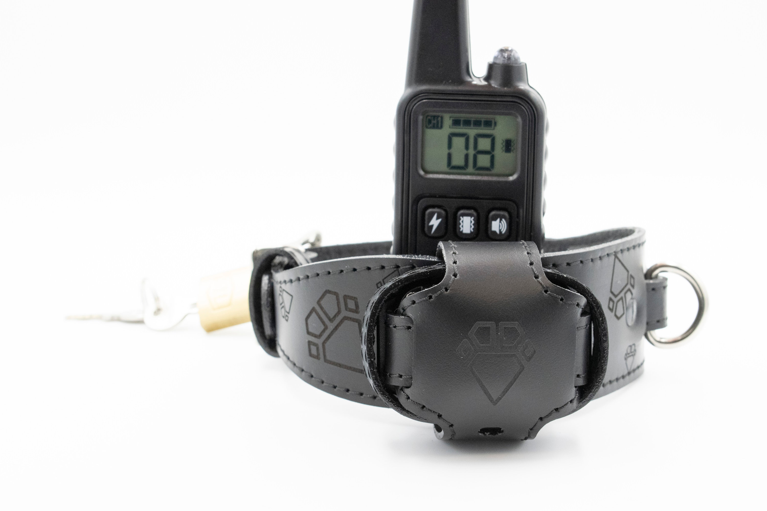 Entdecke die Freiheit: Garmin Halsband für Abenteuerlustige