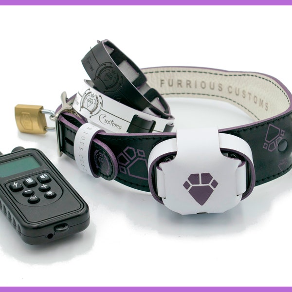 Locking Shock Collar Etsy