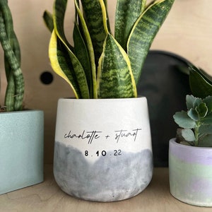 May include: A grey concrete planter with a white top and a grey ombre effect. The planter has the text "charlotte + stuart 8.10.22" written on it. A snake plant is growing in the planter.