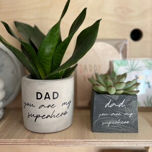 May include: Two concrete planters with plants. The larger, cylindrical planter has the text "DAD you are my superhero" in black. The smaller, square planter has the same text. The plants are green.
