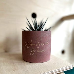 May include: A small, cylindrical, reddish-brown concrete planter with the inscription "To a Wonderful Mum" in gold lettering. The planter holds a succulent plant with green and white striped leaves. The planter sits on a light-colored wooden shelf.