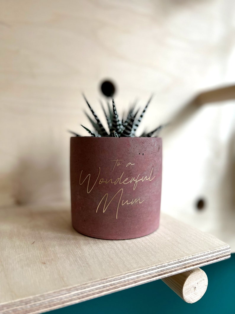 May include: A small, cylindrical, reddish-brown concrete planter with the inscription "To a Wonderful Mum" in gold lettering. The planter holds a succulent plant with green and white striped leaves. The planter sits on a light-colored wooden shelf.