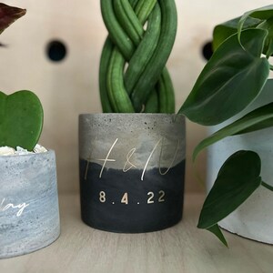 May include: A concrete planter with a two-tone design, featuring a gray top and a black bottom. Gold lettering displays the initials "H & V" and the date "8.4.22". The planter holds a green, braided plant.