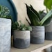 Concrete Plant Store