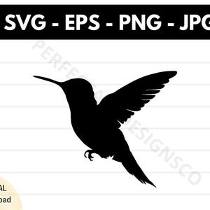 File in formato SVG con la silhouette del gallo cedrone, file in formato SVG con il taglio del gallo cedrone per Cricut, clipart del gallo cedrone in formato SVG, vettore del gallo cedrone in formato SVG EPS PNG