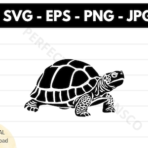 Archivo svg de silueta de tortuga de caja, clipart de contorno de tortuga de caja svg, archivo svg de corte de tortuga de caja para cricut, vector de tortuga de caja svg eps png