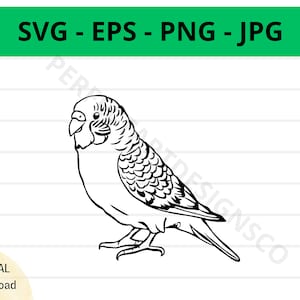Budgie Outline Svg, Budgie Clipart, Budgie Svg per maglietta, File Svg per Cricut, File di taglio Budgie, Budgie Vector Svg Eps Png Jpg