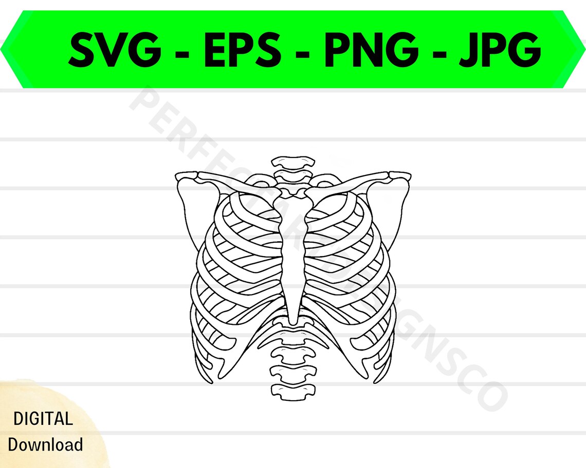 Skeleton Rib Cage Svg File, Skeleton Rib Cage Outline Svg, Skeleton Rib ...