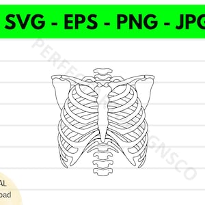 Skeleton Rib Cage Svg File, Skeleton Rib Cage Outline Svg, Skeleton Rib Cage Clipart Svg, Skeleton Rib Cage Svg Cut Files