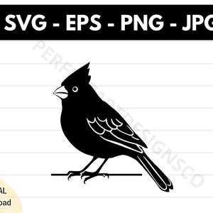 File svg di silhouette di uccello cardinale, file svg di taglio di uccello cardinale per cricut, clipart di contorno di uccello cardinale svg, vettore di uccello svg eps png