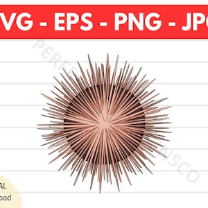 Sea Urchin Svg File For Cricut, Silhouette, Sea Urchin Clip Art, Sea Urchin Shirt Design, Sea Urchin Vector Eps Png Svg Jpg