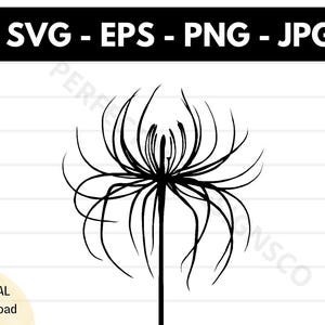 Arquivo svg de silhueta de lírio-aranha, arquivo svg de corte de lírio-aranha para cricut, clipart de contorno de lírio-aranha svg, vetor de lírio-aranha svg eps png