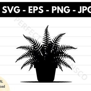 Fichier svg silhouette fougère en pot, fougère en pot coupe fichier svg pour cricut, fougère en pot contour clipart svg, fougère en pot vecteur svg eps png