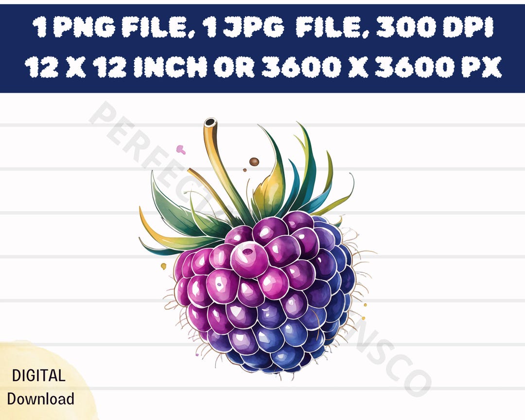 Blue Raspberry Watercolor Clipart, Blue Raspberry Watercolor Png ...