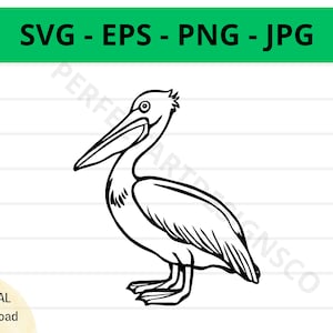 Pelikan Umriss MalSvg, Pelikan Clipart, Pelikan Für Shirt, SVG-Datei für Cricut, Pelikan Schnittdatei, Pelikan VektorSvp Eps Png Jpg
