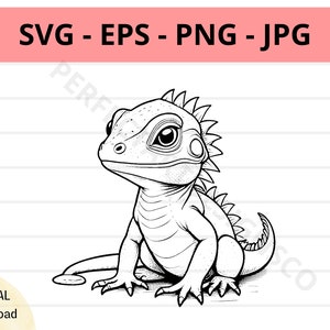 Cute iguana svg file, baby iguana outline svg, iguana clipart svg, iguana svg cut files for cricut silhouette, iguana vector svg eps png jpg