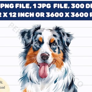 Australian Shepherd Dog Watercolor Clipart, Australian Shepherd Watercolor Png Transparent Background Digital Download, Dog Printable PNG
