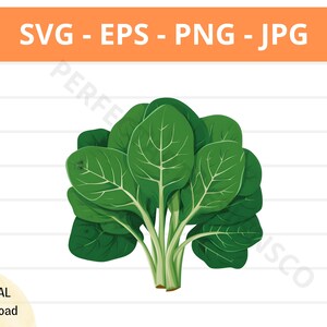 Spinach Svg, Spinach Vegetable Clipart, Spinach Svg Shirt, Svg File for Cricut, Silhouette, Spinach Cut File, Spinach Vector Svg Eps Png Jpg