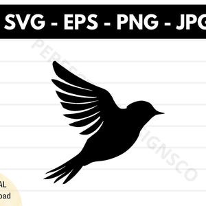 File SVG con silhouette di uccello del paradiso, file SVG per il taglio di uccello del paradiso per Cricut, clipart di contorno di uccello del paradiso SVG, vettore SVG EPS