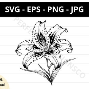 Ilustração de tatuagem de Tiger Lily svg, arquivo Tiger Lily svg para cricut e silhueta, clipart de Tiger Lily, vetor de Tiger Lily svg eps png jpg