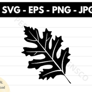 Oak leaf silhouette svg file, Oak leaf cutting svg file for cricut, Oak leaf outline clipart svg, Oak leaf vector svg eps png