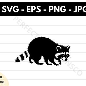 Raccoon Silhouette Svg, Raccoon Cricut, Raccoon Shirt Design, Raccoon Clipart Printable Svg Vector Eps Png Jpg