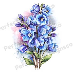 Op de afbeelding: Waterverfillustratie van een boeket blauwe ridderspoorbloemen. De bloemen hebben meerdere lagen bloemblaadjes en gele centra. De stelen zijn bruin en de bladeren groen. De achtergrond heeft een aquarelwas van roze en blauw.