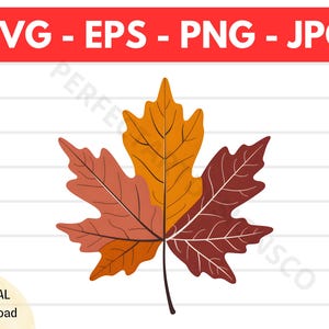Leaf Autumn Svg, Leaf Autumn Vector, Leaf Autumn Svg File For Cricut, Leaf Autumn Outline, Leaf Autumn Printable Art Design