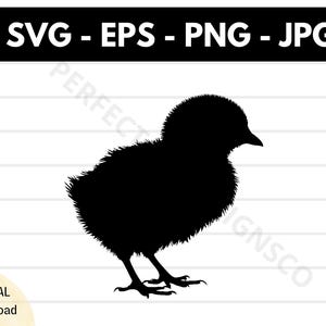 File SVG di silhouette di pulcino che schiude, file SVG di taglio di pulcino che schiude per Cricut, clipart di pulcino che schiude in formato SVG, vettore di pulcino che schiude in formato SVG PNG