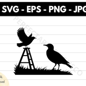 File SVG con silhouette di birdwatching, file SVG per tagliare birdwatching per Cricut, clipart di birdwatching in formato SVG, vettore di birdwatching in formato SVG in formato PNG