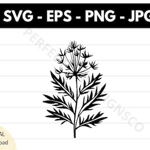 マルレイン植物のシルエット SVG ファイル、クリカット用のマルレイン植物の切り抜き SVG ファイル、マルレイン植物のアウトライン クリップアート SVG、植物ベクター SVG EPS PNG