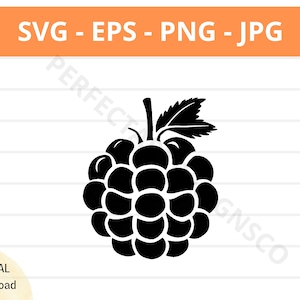 Contour Blackberry Svg, Clipart fruits Blackberry, Svg Blackberry pour chemise, fichier Svg pour fichier de coupe Cricut, Blackberry vecteur Svg Eps Png Jpg
