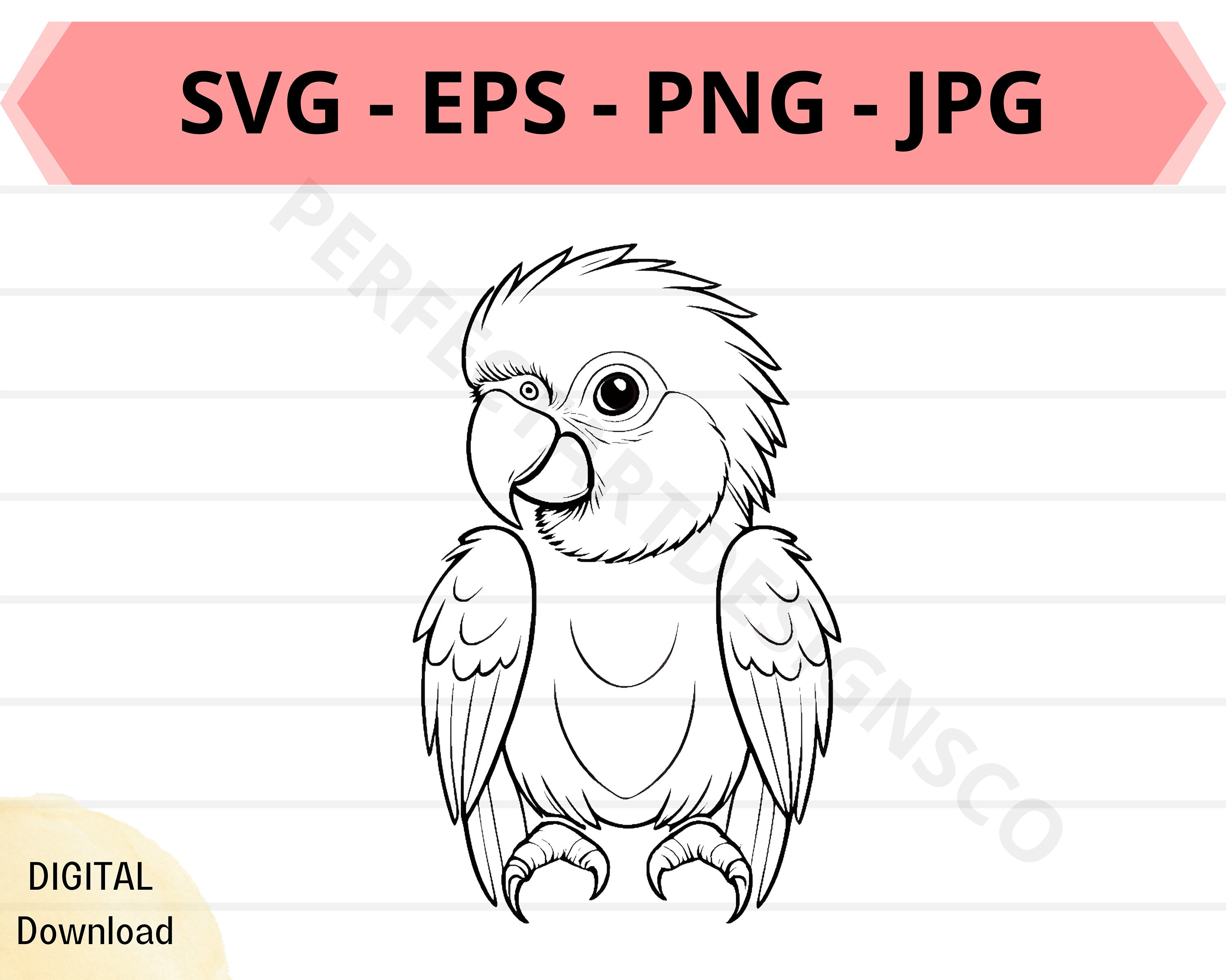 Cute Macaw Svg File, Baby Macaw Outline Svg, Macaw Clipart Svg, Macaw ...
