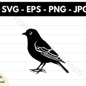 File svg di sagoma di canarino, file svg di taglio di canarino per cricut, clipart di contorno di canarino in formato svg, vettore di canarino in formato svg eps png