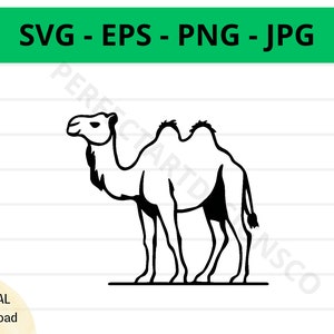 Cammello contorno Svg, cammello clipart, cammello Svg per maglietta, file Svg per Cricut, file di taglio cammello, cammello vettore Svg Eps Png Jpg