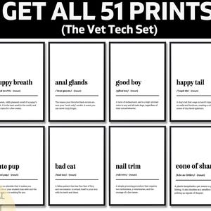 May include: Eight framed prints with black frames and white backgrounds, each displaying a veterinary-related definition with humorous text. The top text reads "GET ALL 51 PRINTS (The Vet Tech Set)".