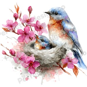 Pode incluir: Ilustração em aquarela de dois pássaros azuis, um adulto e um filhote em um ninho, rodeados por flores de cerejeira rosa. As aves têm plumagem azul e laranja. A obra de arte tem um estilo suave e pictórico.