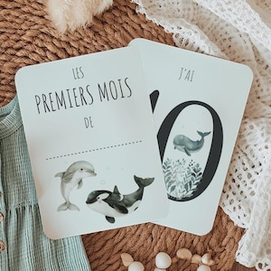 Cartões de passos de animais marinhos - Cartões de lembrança do primeiro ano do bebê - Golfinho e Orca - Personalizáveis com o primeiro nome