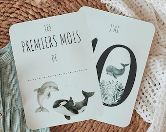 Cartes étapes Animaux de la Mer - Cartes Souvenir Première Année Bébé - Dauphin et Orque - Personnalisable avec Prénom