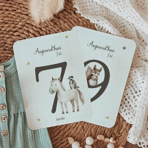 Cartões de marcos para bebês - Cartões mistos para meninas ou meninos - Conjunto de 13 cartões frente e verso - Animais da floresta e da fazenda - Presente magnífico