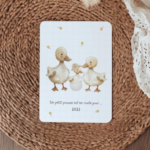 Annonce Grossesse Poussin, Petit Poussin Arrive, Annonce Grossesse 2025, Papa et Maman poussin, Bébé est en Route