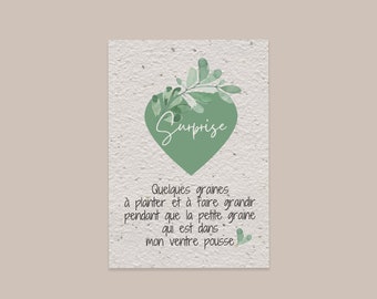 Carte à planter annonce grossesse, graine à planter bébé, annonce originale grossesse, nous allons avoir un bébé, graines à semer