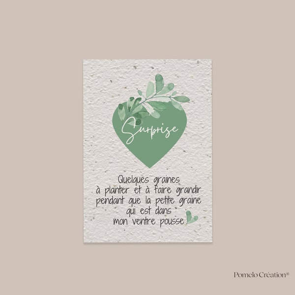 Card to plant pregnancy announcement, seed to plant baby, original pregnancy announcement, we are going to have a baby, seeds to sow