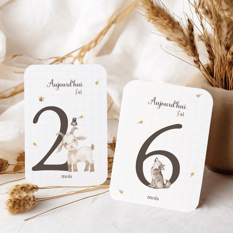 Baby Milestone Cards Mixed Girl or Boy Cards Set of 13 Doublesided