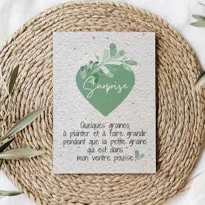 Cartão plantável para anúncio de gravidez, flores silvestres, sementes de bebê para plantar, anúncio original, vamos ter um bebê, sementes para semear