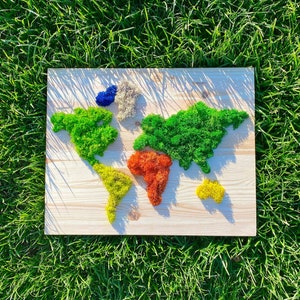 Mapa del mundo colorido con musgo de ciervo para colgar en la pared sobre base de madera, Atlas mundial de 20 pulgadas, decoración de pared para cocina, sala de estar o dormitorio